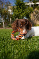 Tall Tails Dog Toys Braided Tug-5