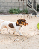 Tall Tails Dog Toys Braided Tug-11