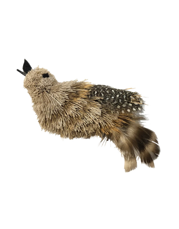 Go Cat Wands & Refills