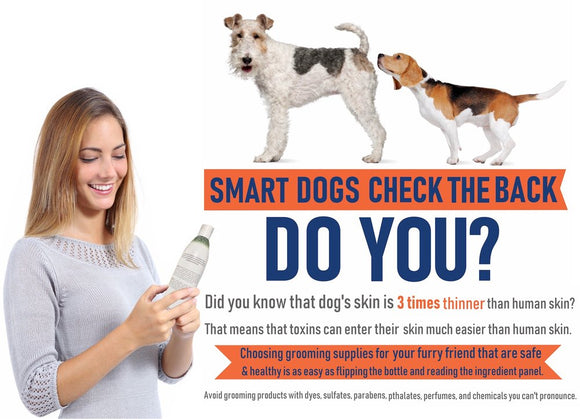 Aroma Paws Dog Coat Spray 4.5oz