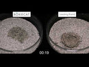 BoxieCat Litter-9