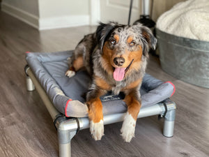 Tall Tails K9 Cot Bed