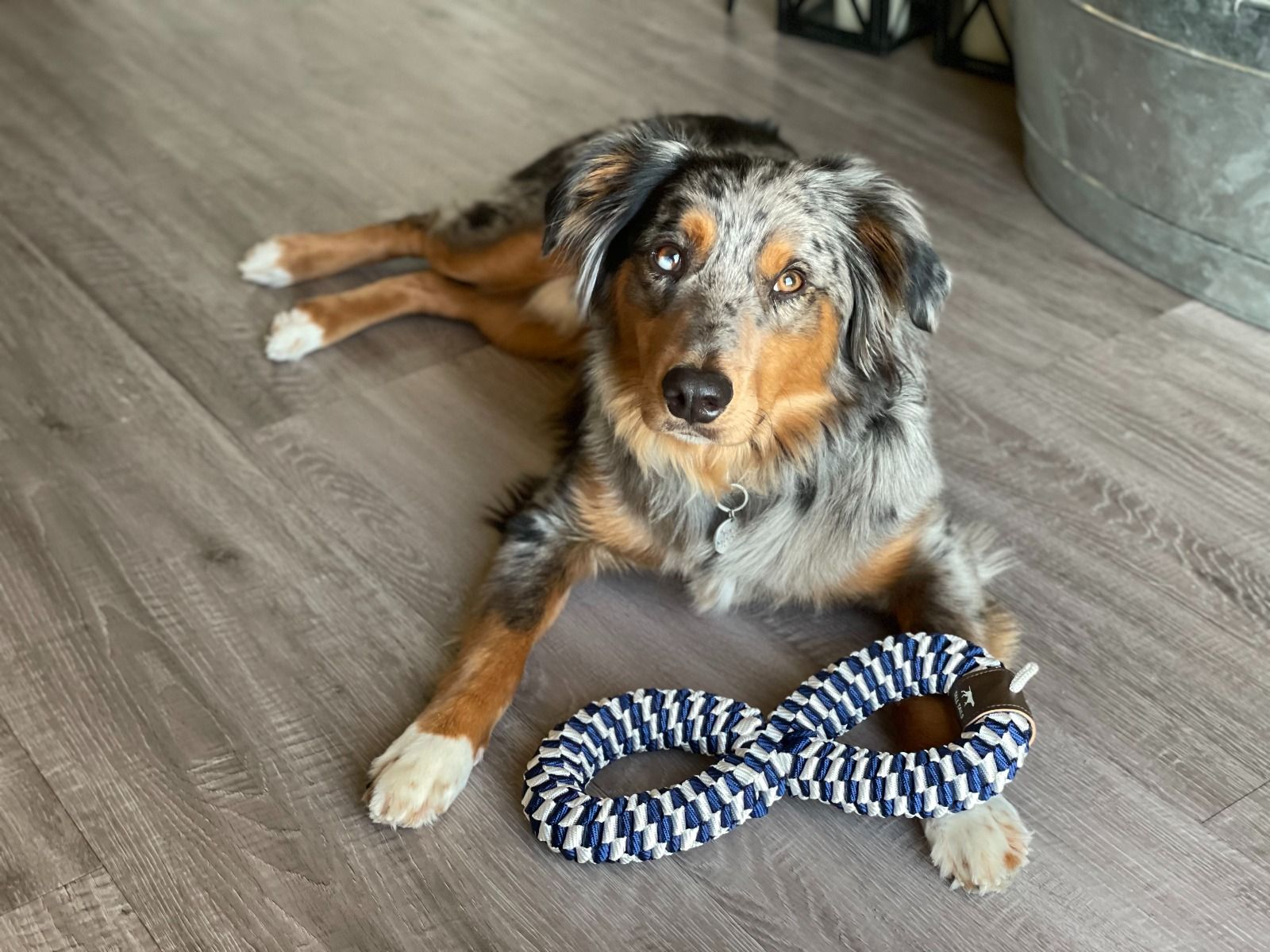 Tall Tails Dog Toys Braided Tug