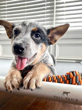 Load image into Gallery viewer, Tall Tails K9 Cot Bed