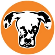 Polkadog 9" Fish Skins