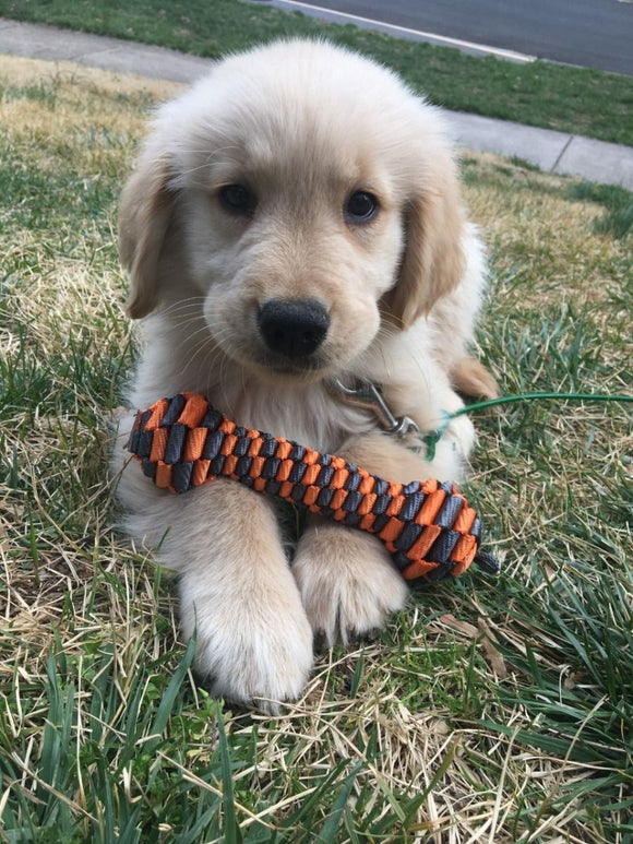 Tall Tails Dog Toys Braided Tug