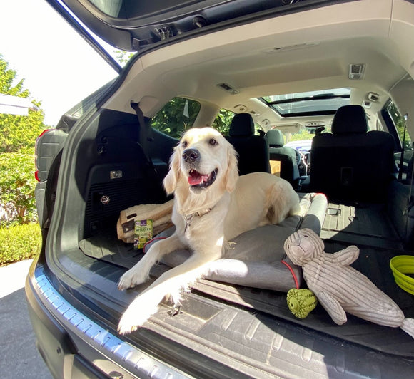 Tall Tails Crate Beds
