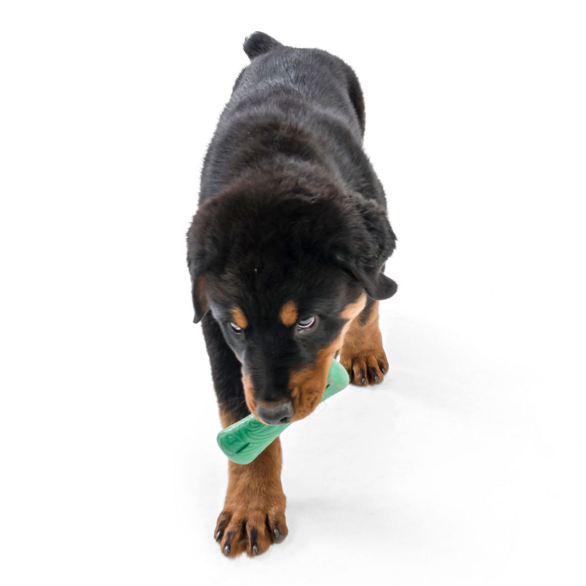 West Paw Drifty Stick