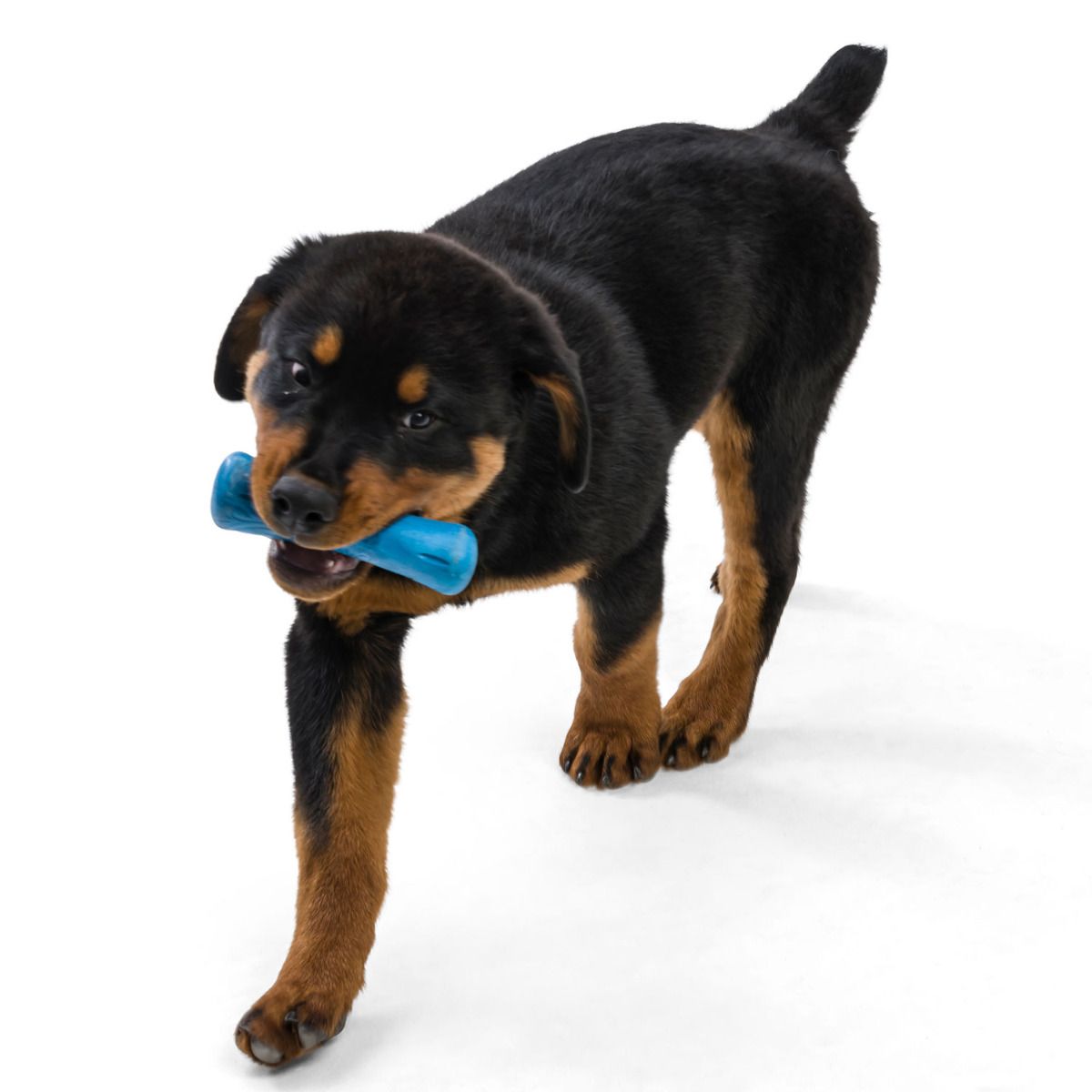 West Paw Drifty Stick