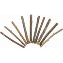 From the Field Catnip-4