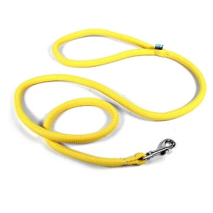 Yellow Dog Design - Round Braided 5' Leash