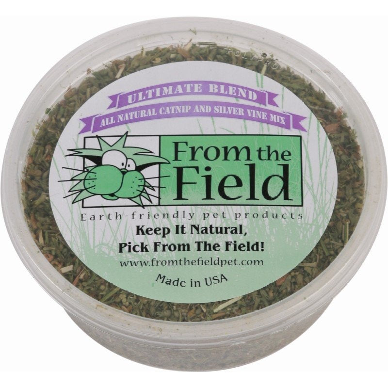 From the Field Catnip